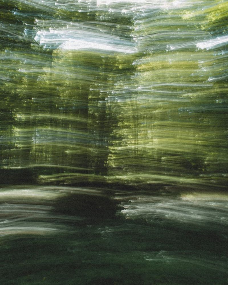 Abstract green forest landscape with soft sunlight rays